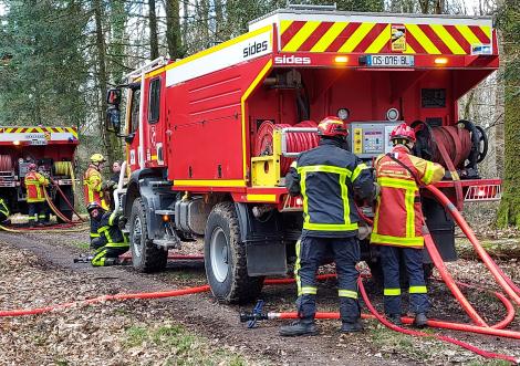 Feux de forêts : les sapeurs-pompiers mayennais en alerte
